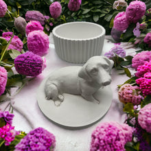 Lade das Bild in den Galerie-Viewer, Geriffelte Schale SYLVIA dia 10,5 cm neu - NISER DESIGN