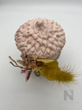 Lade das Bild in den Galerie-Viewer, Hallo Herbst Eichel Dose neu - NISER DESIGN
